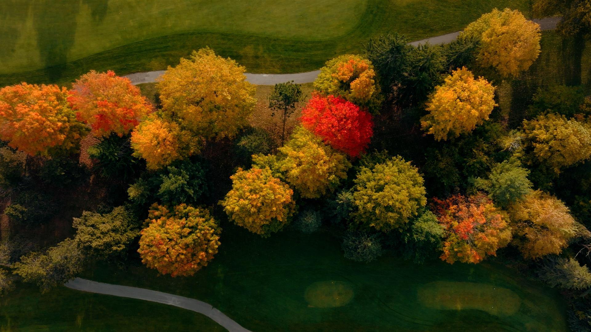 The tops of trees at Grand Traverse Resort and Spa in peak fall color from above. 