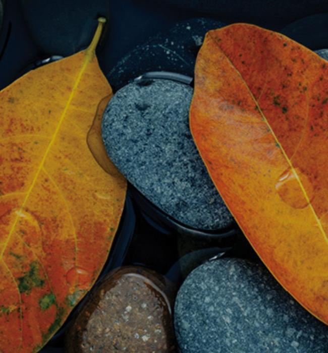 Fall Specials
