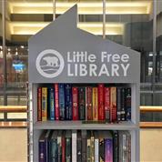Resort Launches Little Free Library