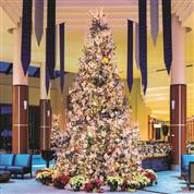 Holiday Season Events 2019