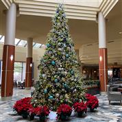 2022 Holiday Season at the Resort