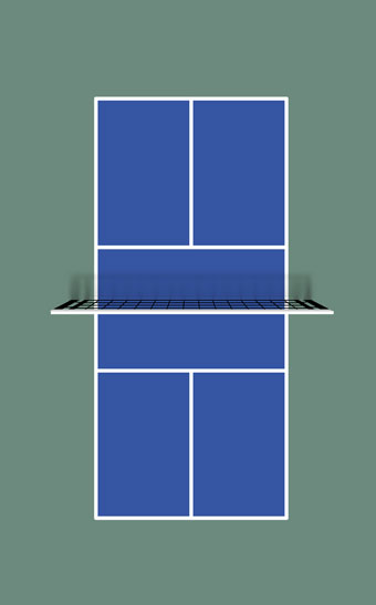 Pickleball Court Outline