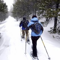 Snowshoeing
