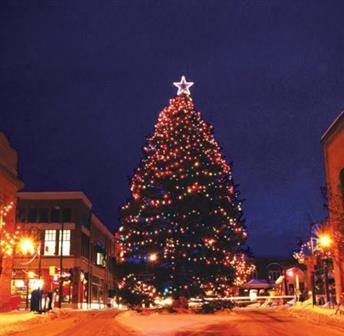 Downtown Traverse City Tree Lighting & Light Parade