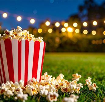 Outdoor Movie Night