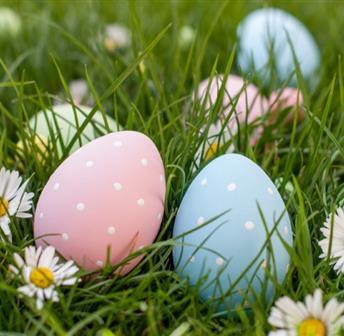 Easter Egg Hunt 