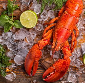 MEMBER  EVENT: Annual Lobster Boil