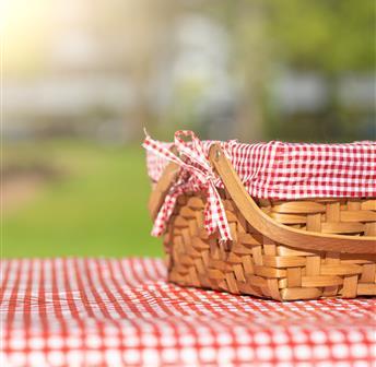 MEMBER EVENT: Picnic at the Beach Club