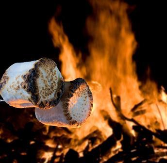 Bonfire and S'mores at the Beach Club