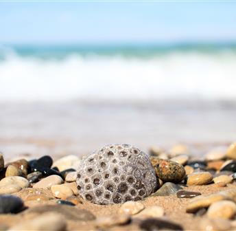 Antrim County Petoskey Stone Festival