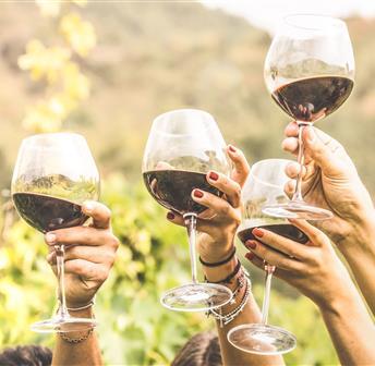 Traverse Wine Coast Dinner
